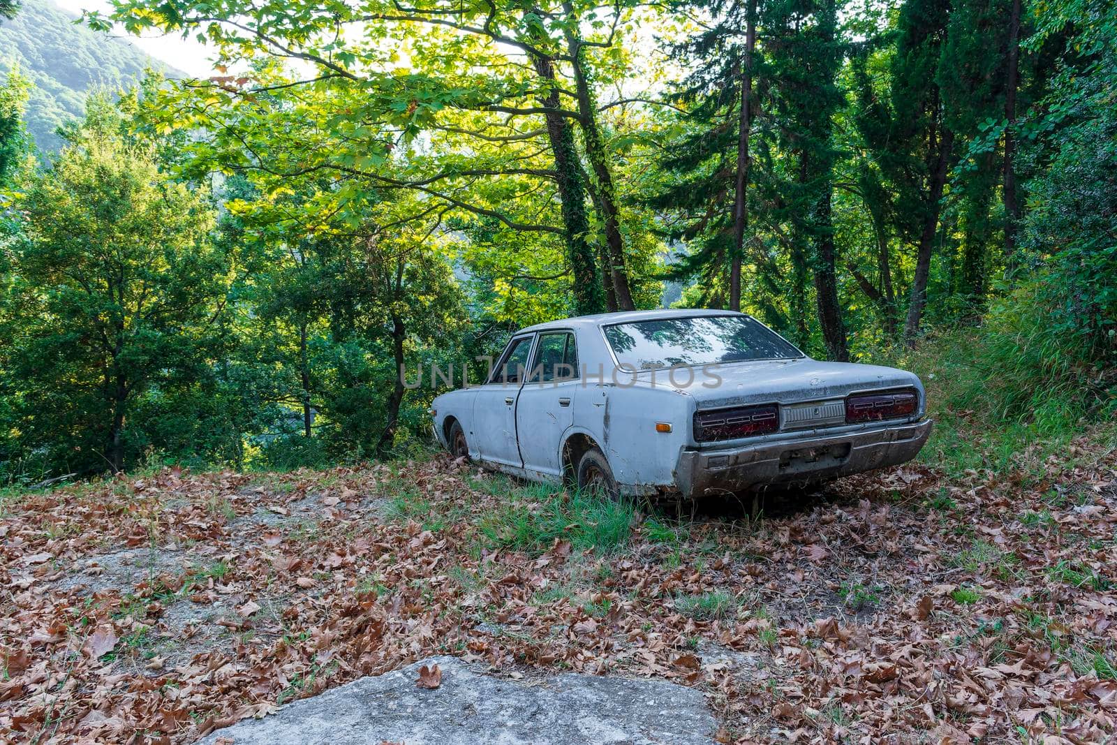 Pelion, Greece - August 13 2020: Old crashed car in the forest, Greece