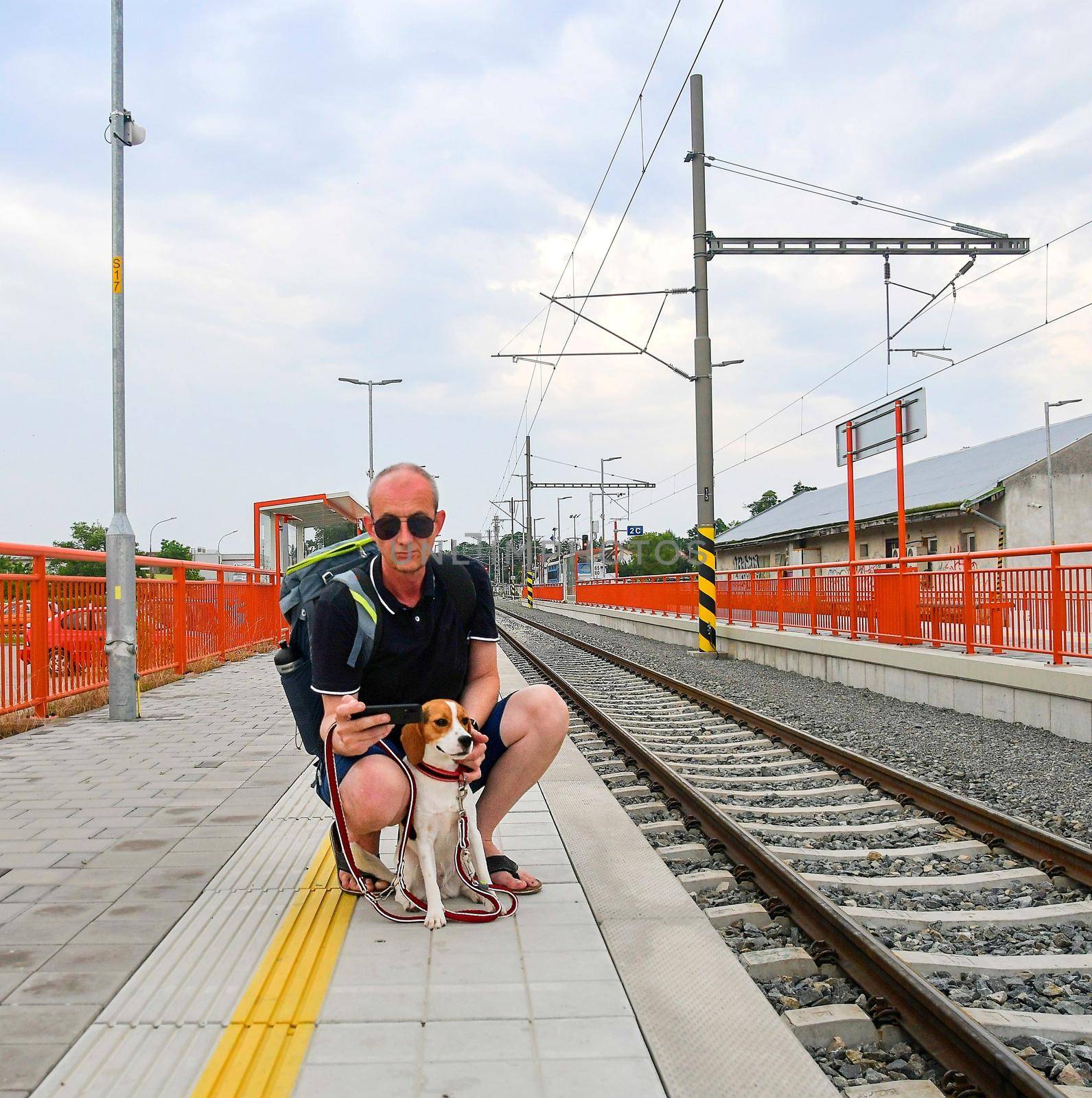 Active tourist with backpack using phone and waiting for train. Man and beagle dog waiting on railway station. Older tourist seeing on mobile phone. Vacation concept.