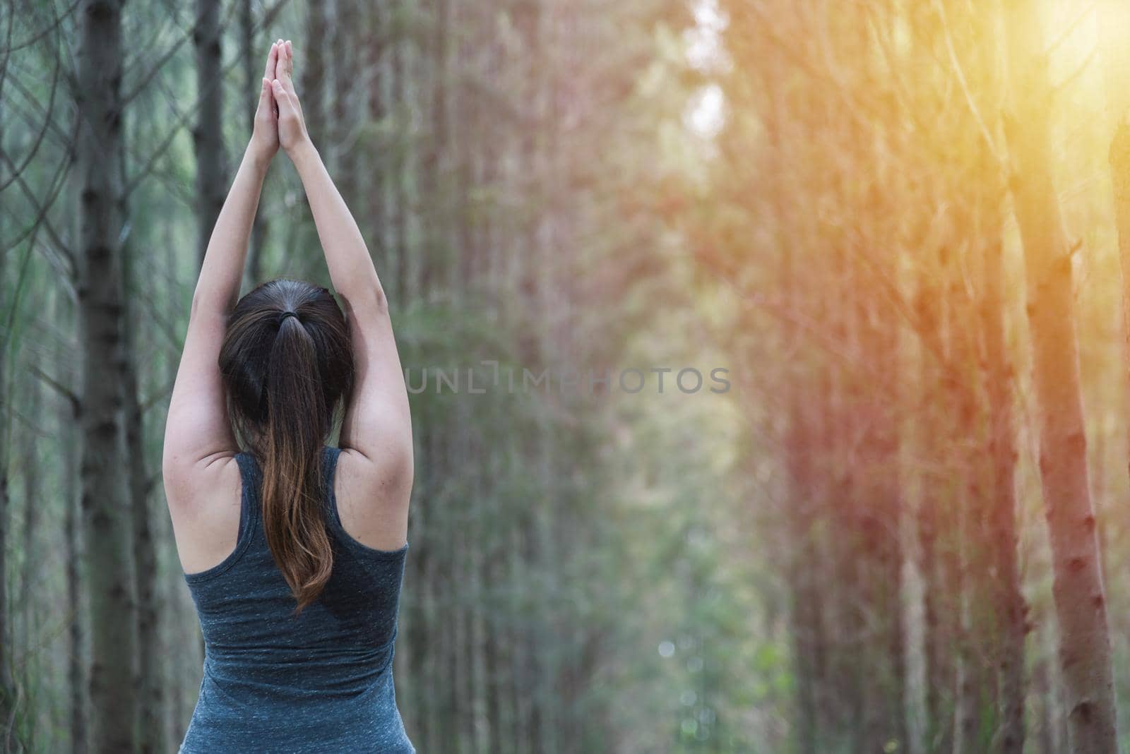 Back Beautiful young woman relaxation standing fitness exercise yoga in forest tree nature park with copy space