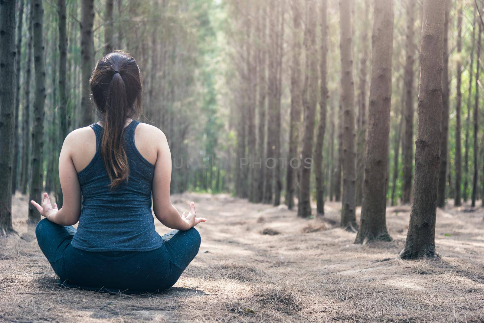 Back Young woman relaxation sitting meditation exercise yoga in morning at forest nature