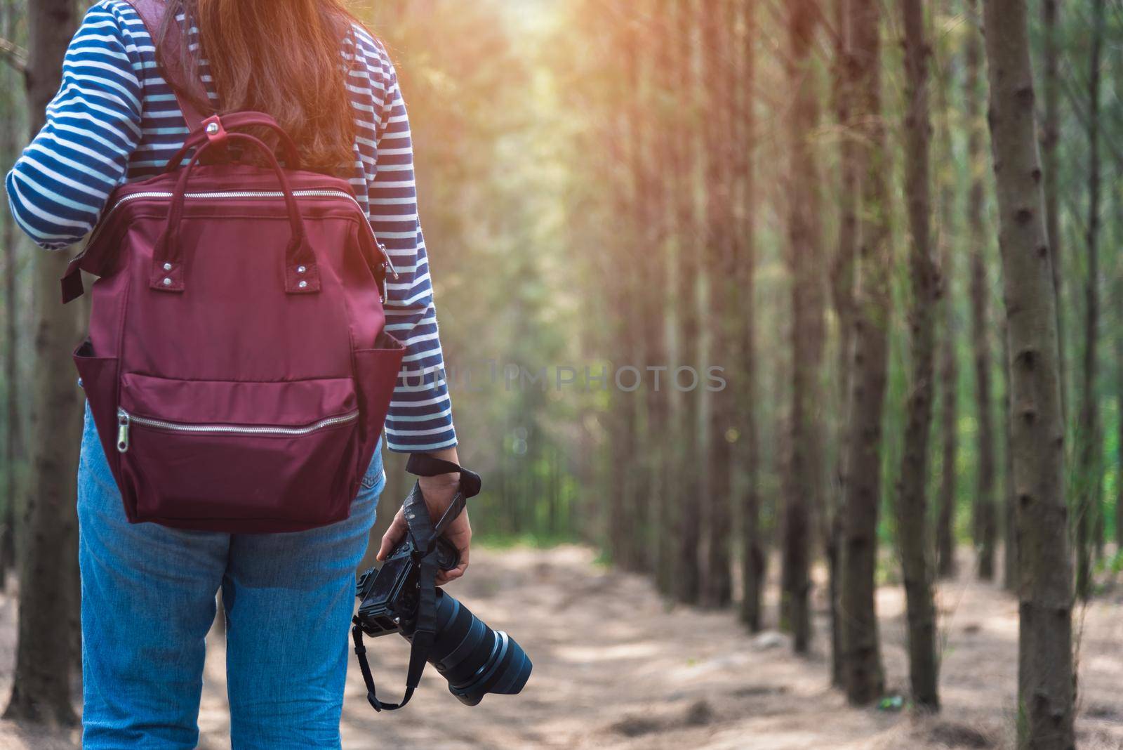 Young female woman lifestyle photographer travel taking photo in forest nature with backpack and copy space.