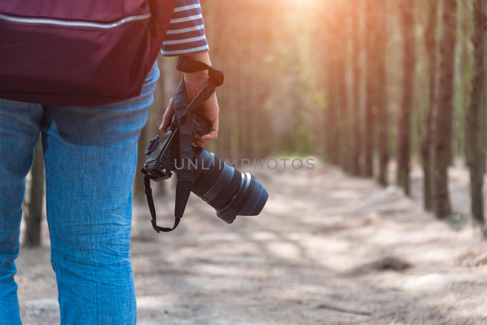 Young woman lifestyle using DSLR camera photographer travel taking photo in forest nature park and backpack and copy space