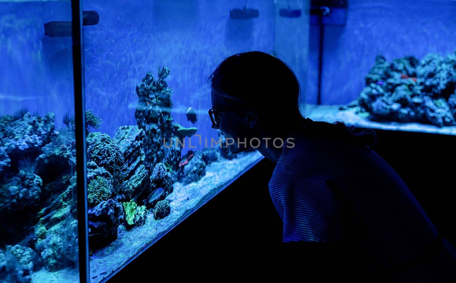 Woman silhouette watching aquariums with fish in oceanarium by Desperada