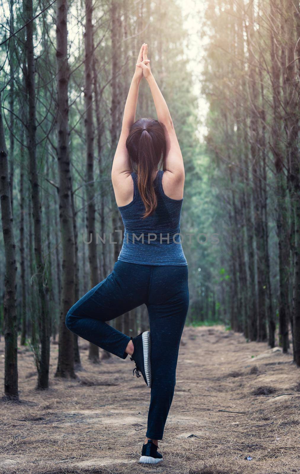 Back Beautiful young woman relaxation standing fitness exercise yoga in morning at forest tree nature park