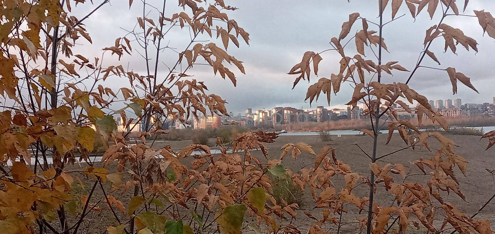 Novosibirsk, Siberia, Russia-08.15.2020: Panorama of Novosibirsk on the Ob river. The capital of Siberia on the great Siberian river, bridges, lush vegetation on river Islands, city buildings