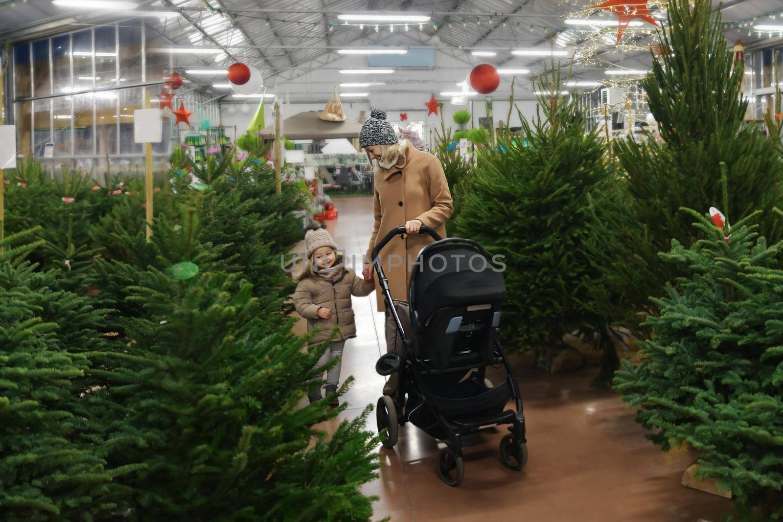 Mother and daughter choose a Christmas tree in the market.