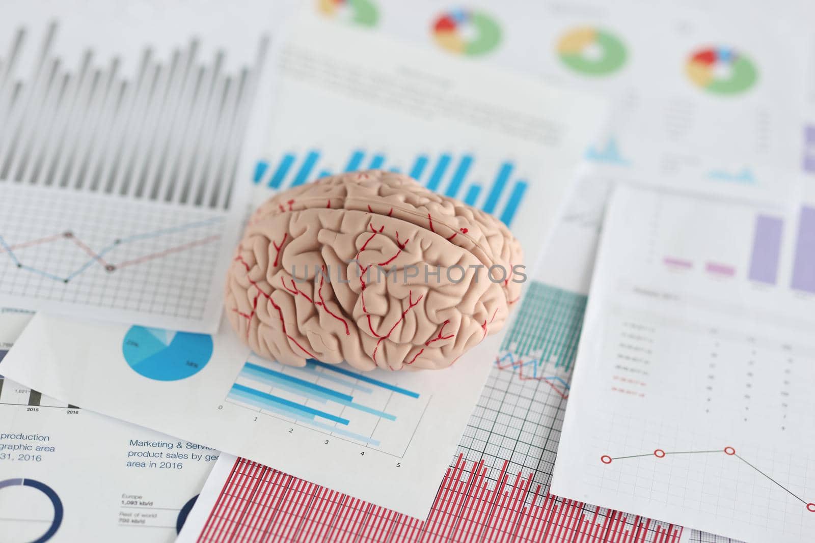 Artificial model of human brain lying on documents with graphs closeup. Making right decisions in business concept