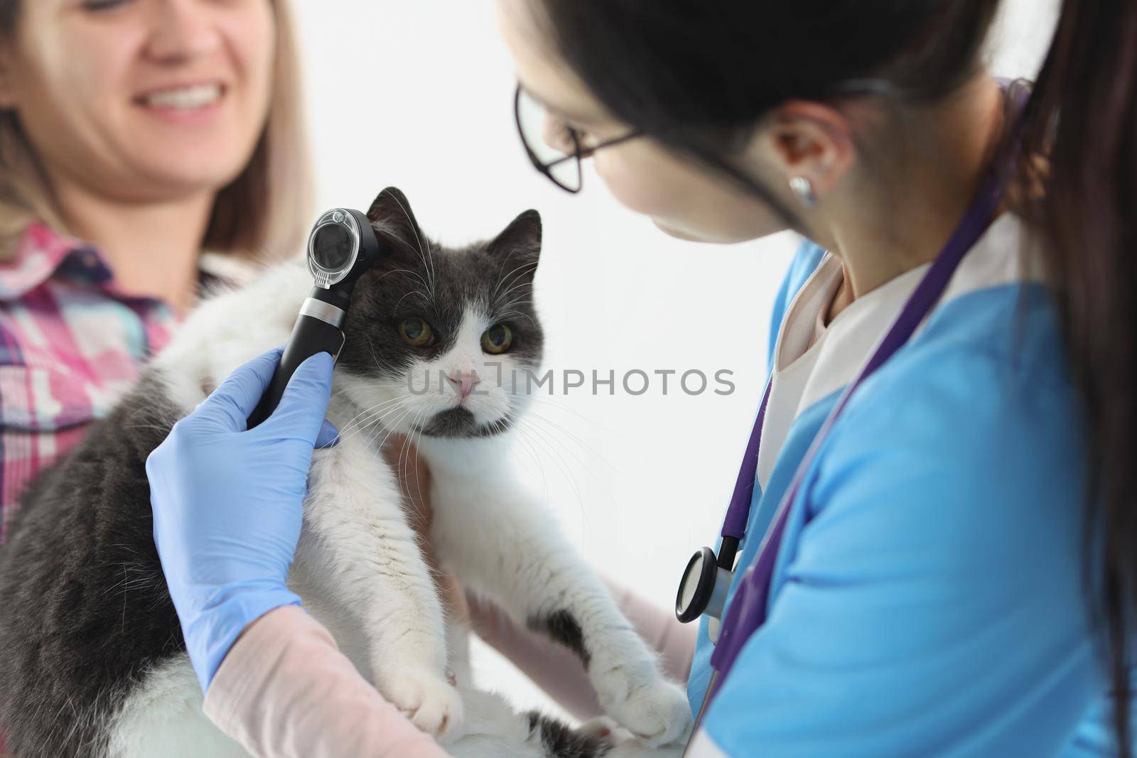 Portrait of woman doctor veterinarian checking cats ear with special equipment. Calm domestic animal on appointment in clinic. Vet, health, checkup concept