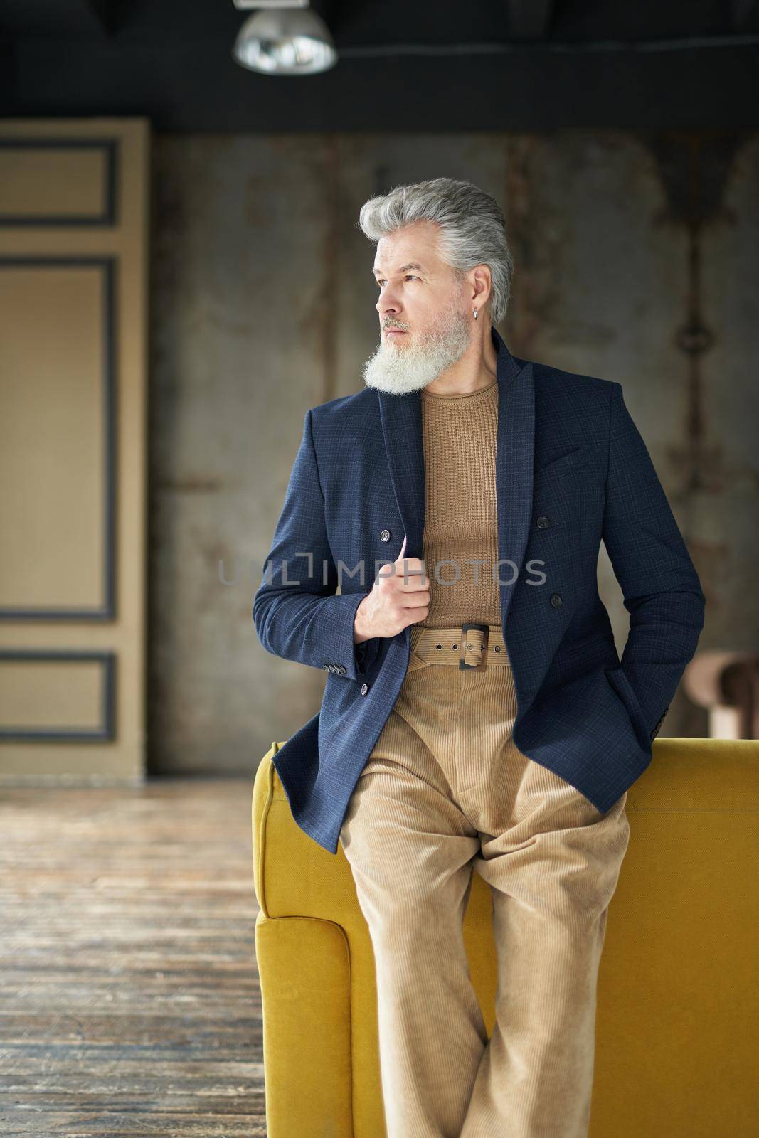 Stylish confident mature man in casual clothes looking aside while posing, leaning on sofa indoors. Lifestyle, people concept