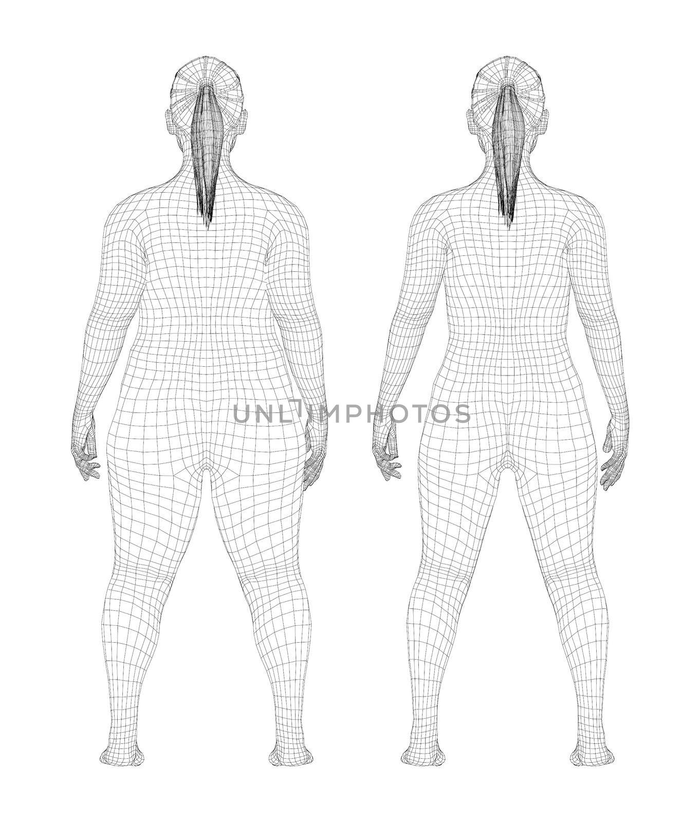 Fat and slim woman, before and after weight loss. 3d illustration. Rear view