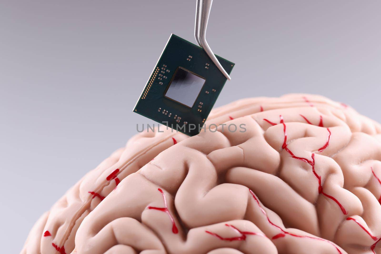 Human brain and computer chip. Microprocessor in head by kuprevich