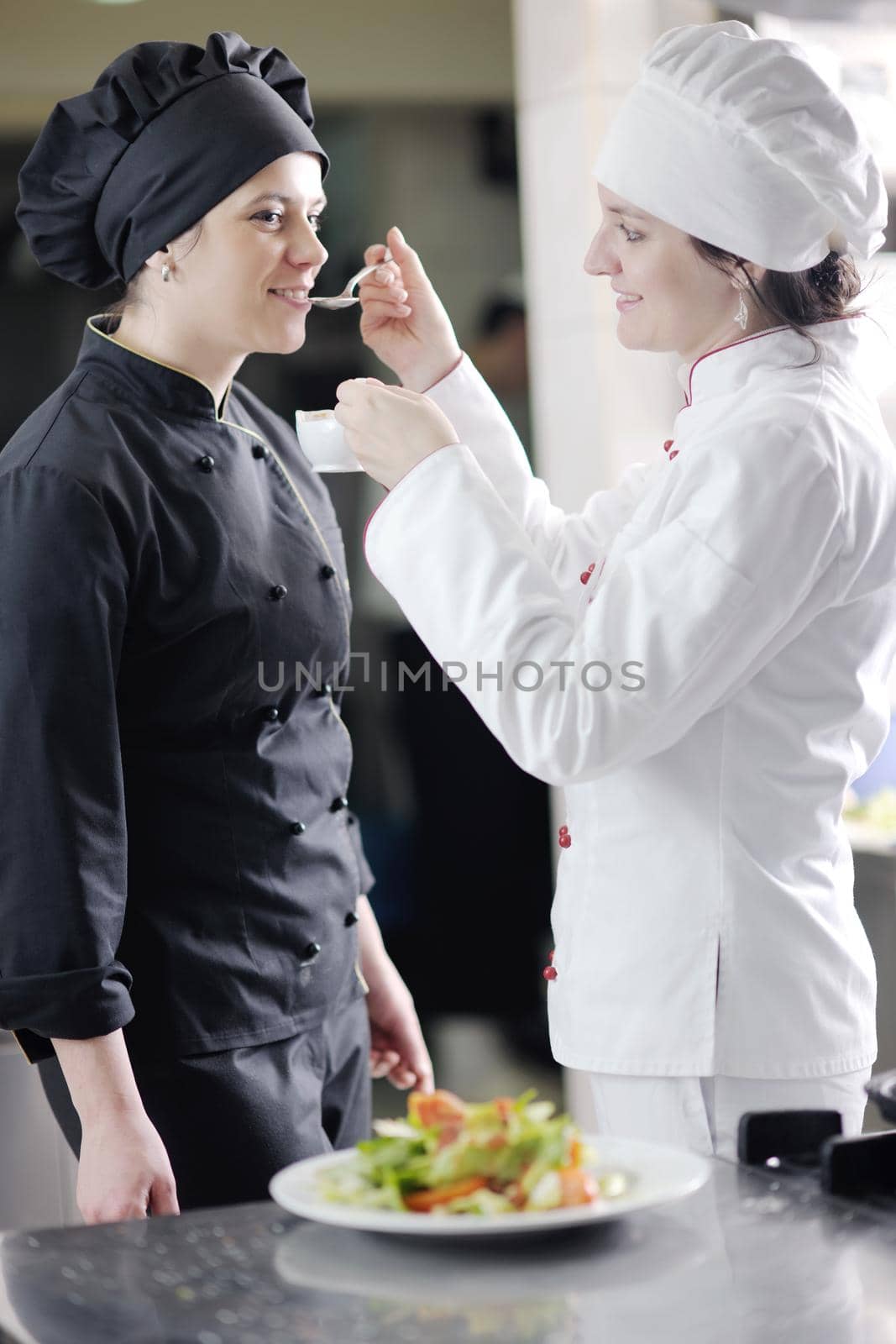 beautiful young chef woman prepare and decorating tasty food in kitchen