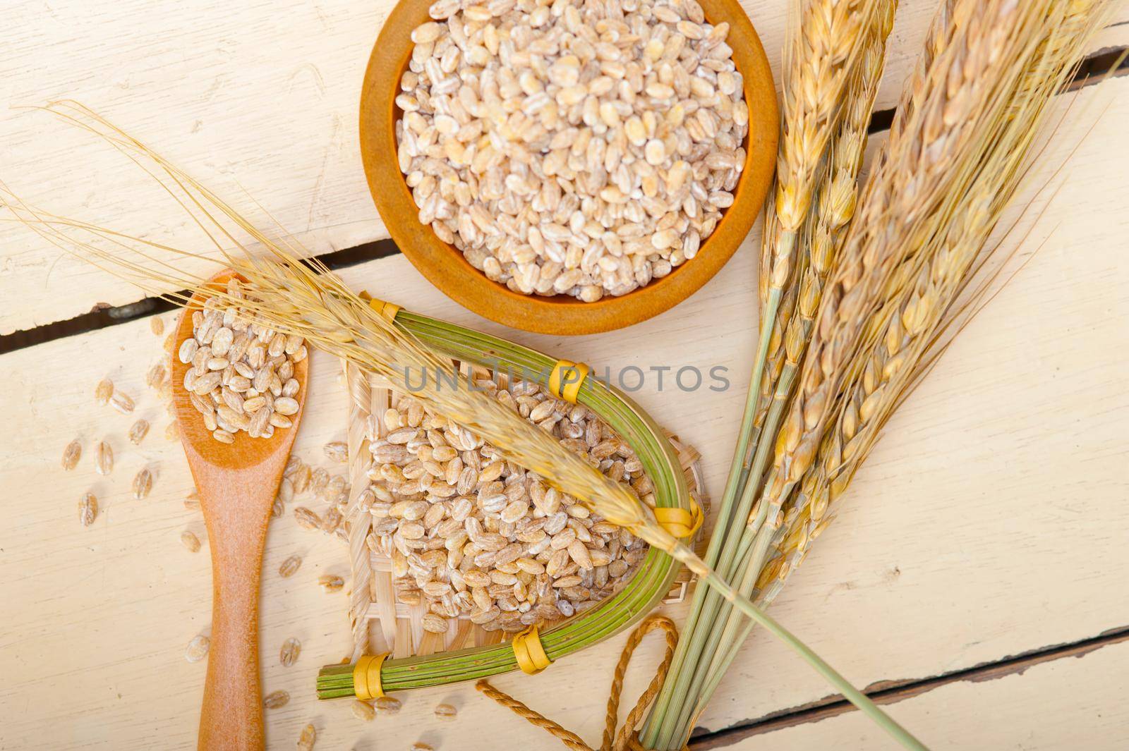 organic barley grains by keko64