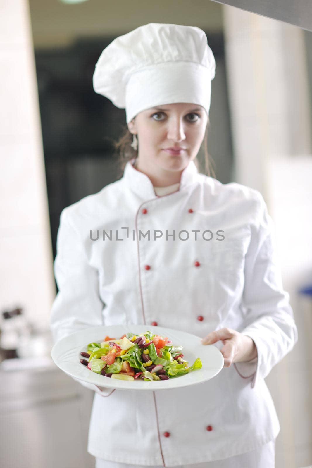 chef preparing meal by dotshock