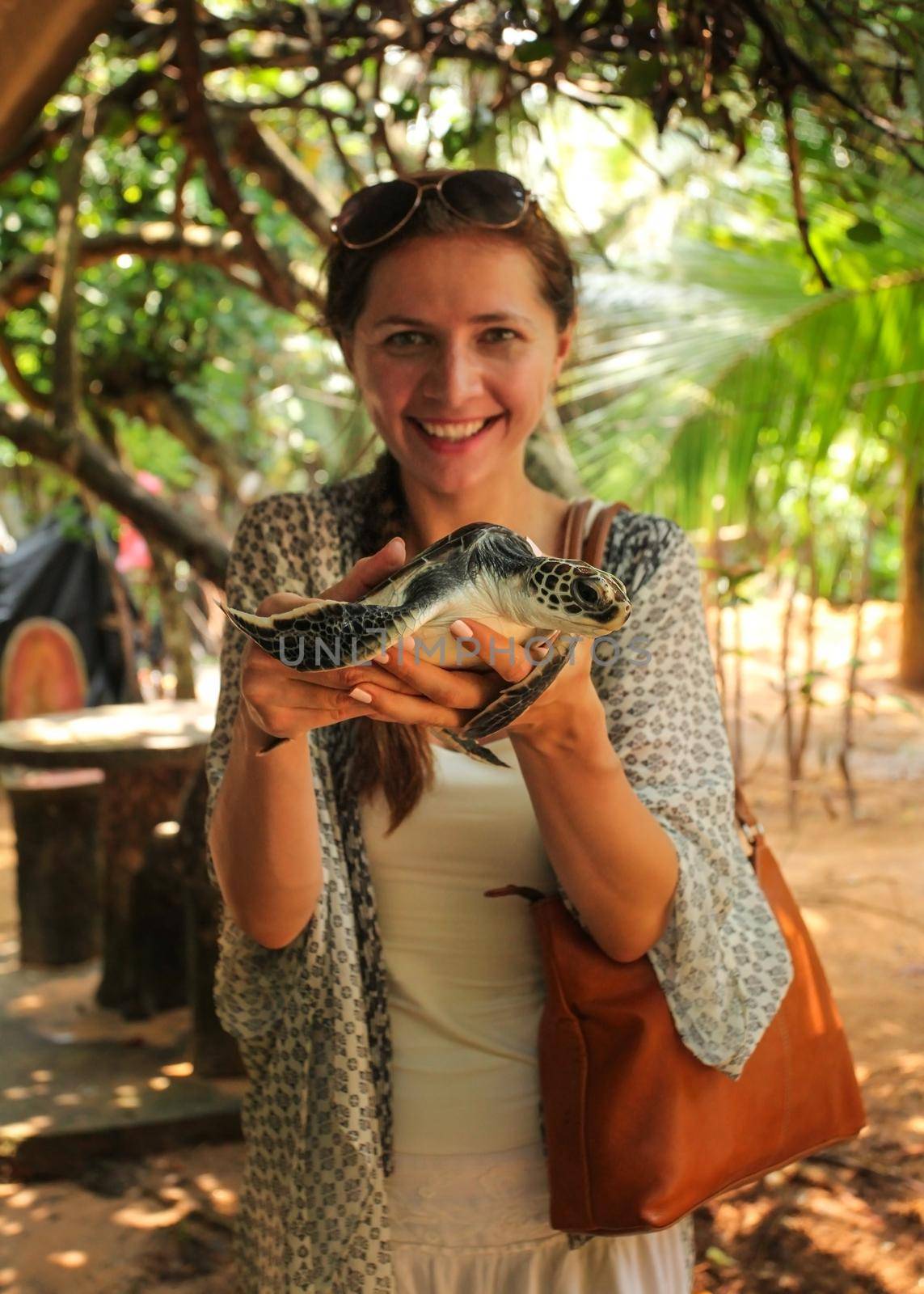 Young woman holding turtle in her hands. Sea Turtle Hatchery Centre, Galle, Sri Lanka by Ivanko