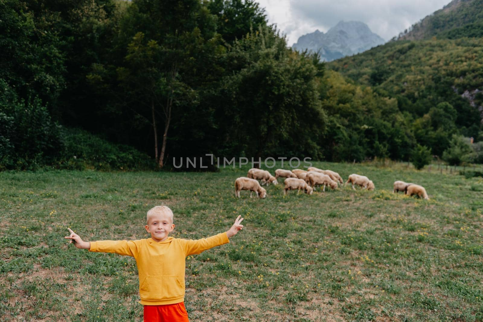 Cute little boy with a sheep on farm, best friends, boy and lamb against the backdrop of greenery, greenery background a small shepherd and his sheep, poddy and child on the grass. Little boy herding sheep in the mountains. Little kid and sheeps in mountains, childs travel learn animals.