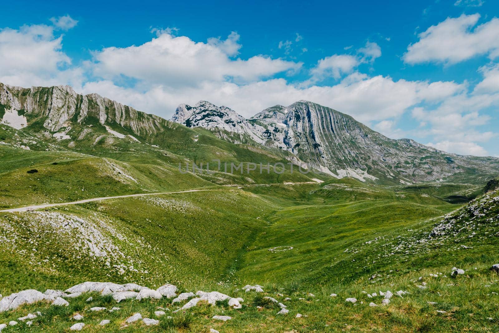 Mountain valley during sunrise. Natural summer landscape. Mountain peak green nature scenery. green hill landscape by Andrii_Ko