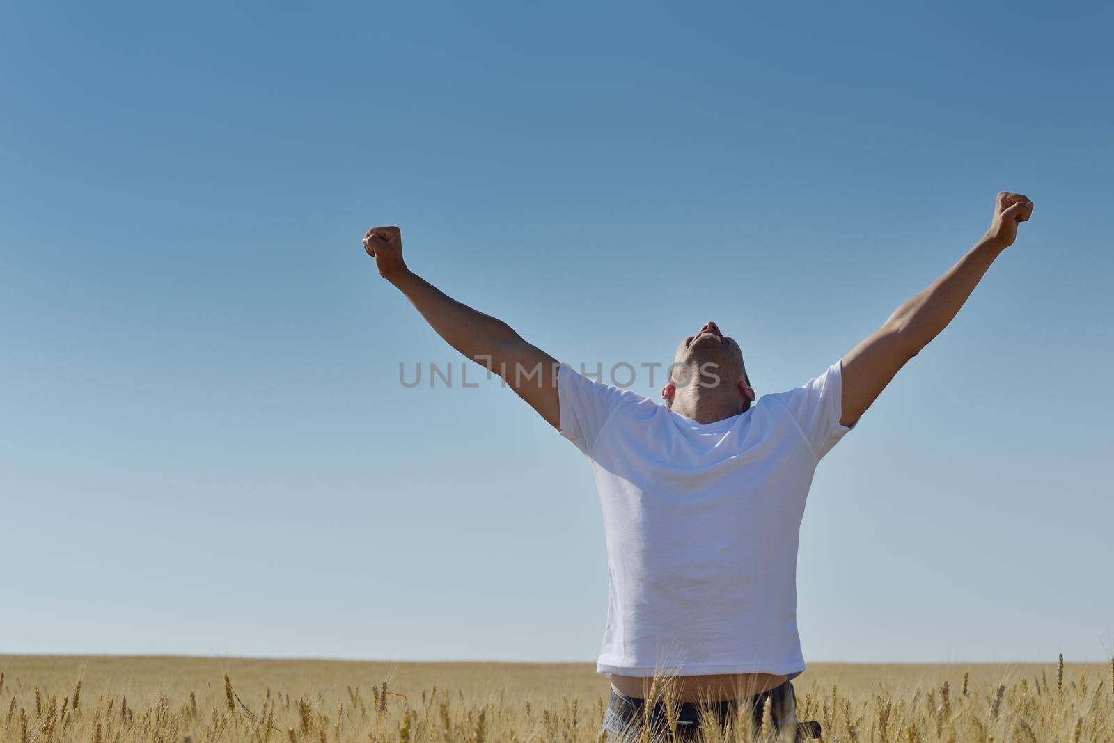 young man in wheat field representing success agriculture and freedom concept