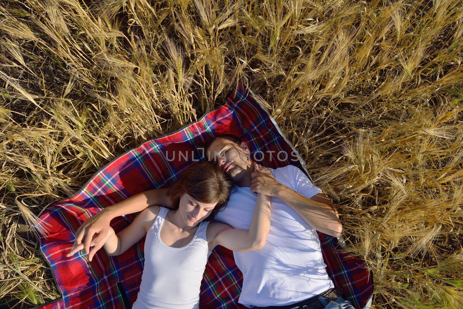 happy young couple in love have romance and fun at wheat field in summer