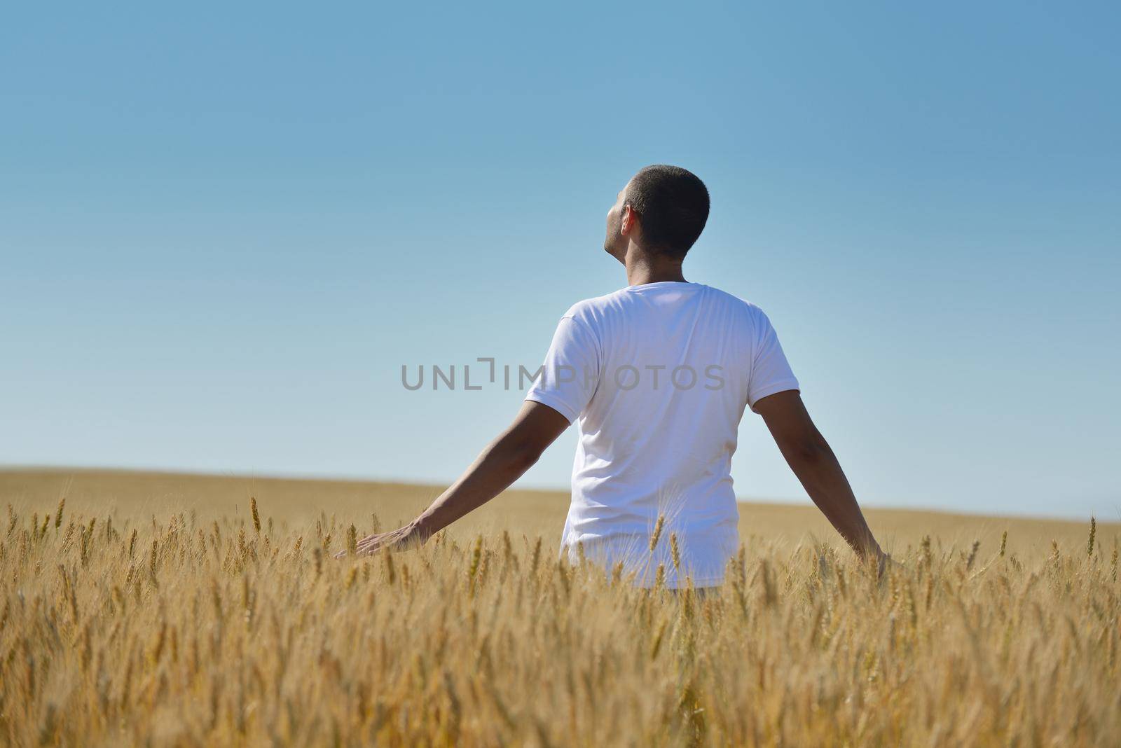 man in wheat field by dotshock