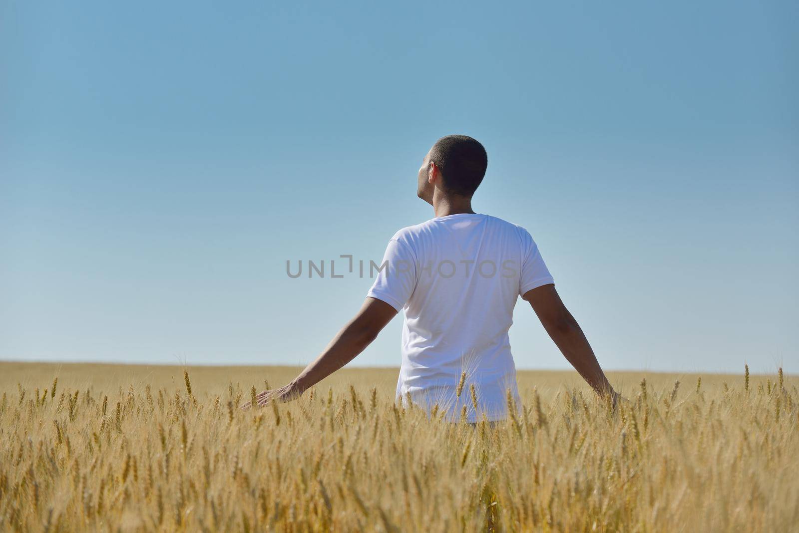 young man in wheat field representing success agriculture and freedom concept