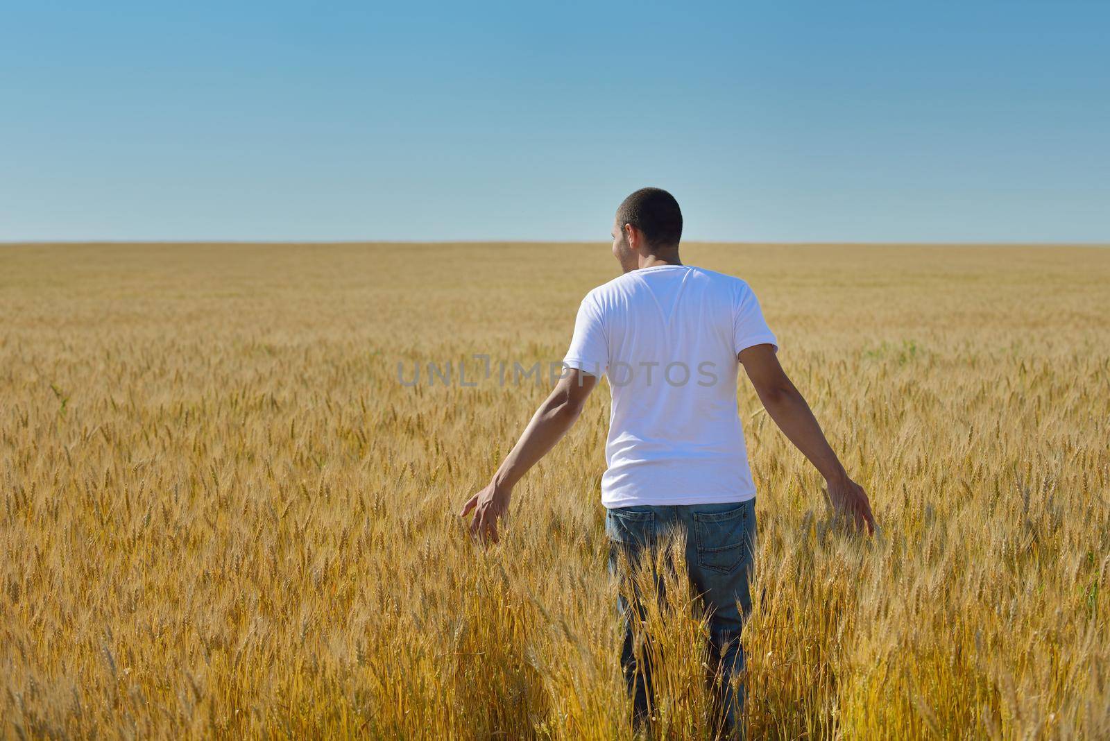 young man in wheat field representing success agriculture and freedom concept