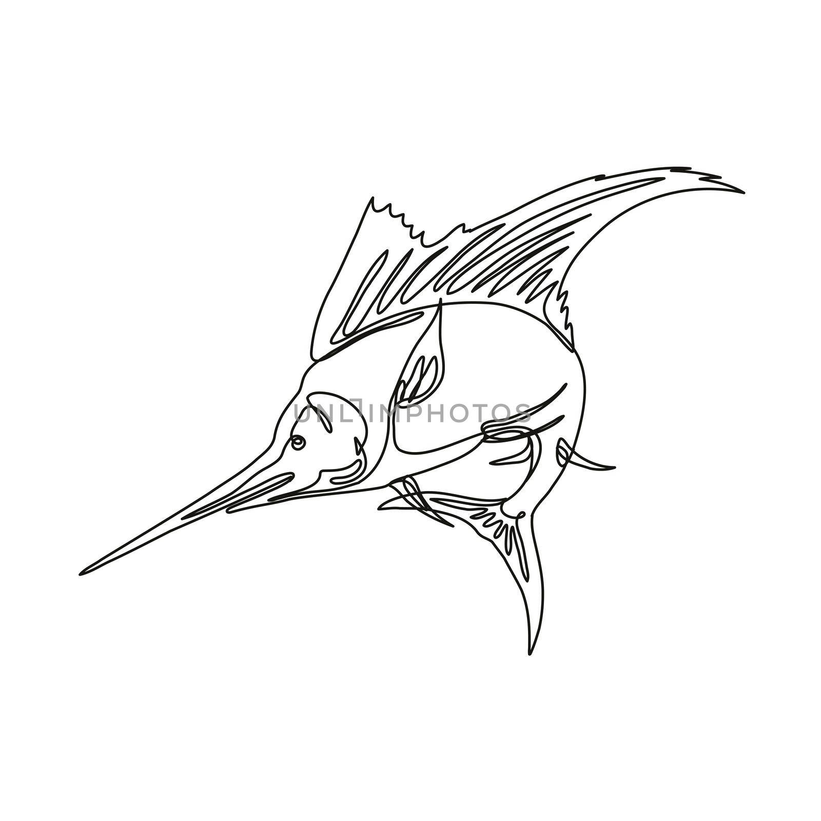 Continuous line drawing illustration of sailfish jumping up done in mono line or doodle style in black and white on isolated background. 