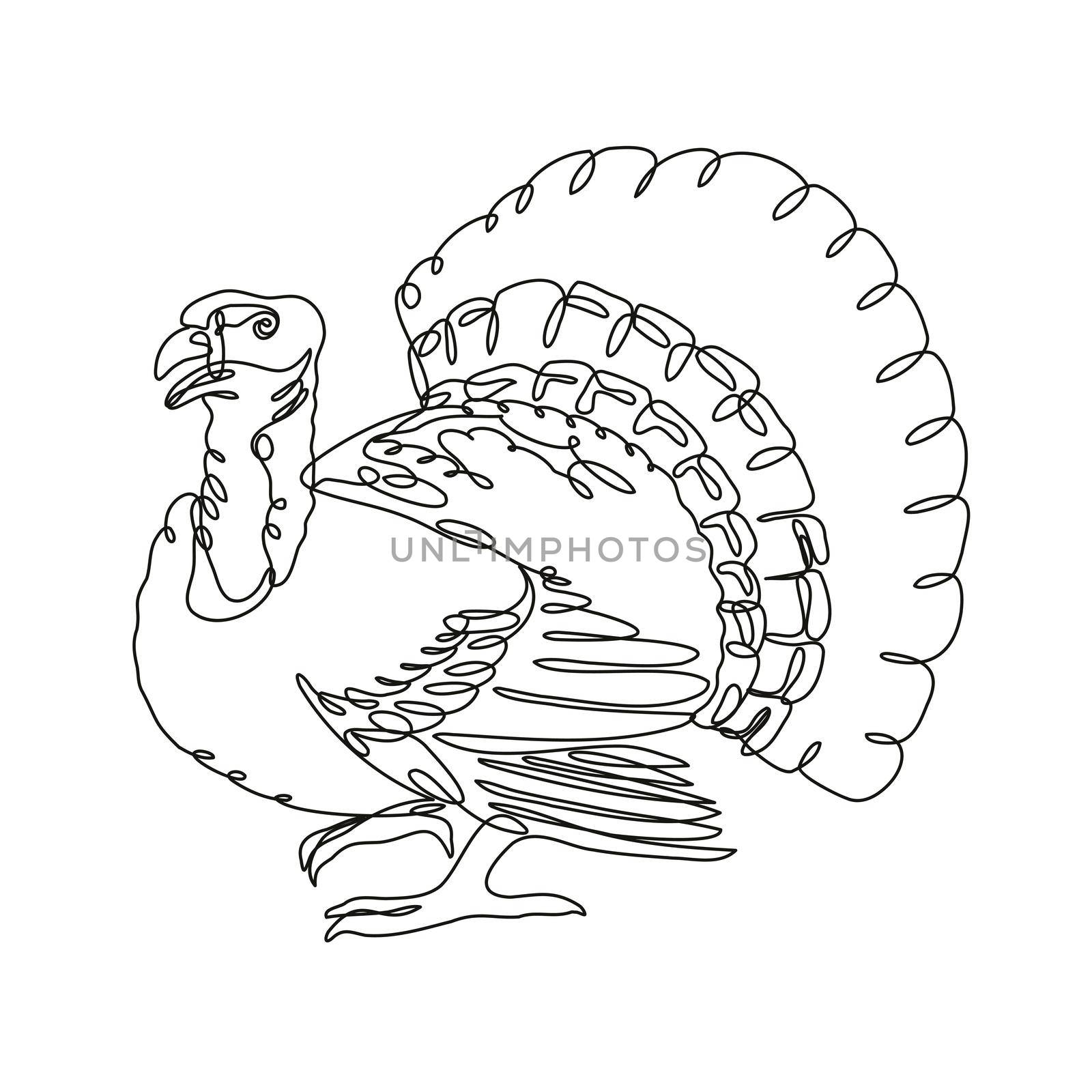 Continuous line drawing illustration of a wild turkey or domestic turkey viewed from side done in mono line or doodle style in black and white on isolated background. 
