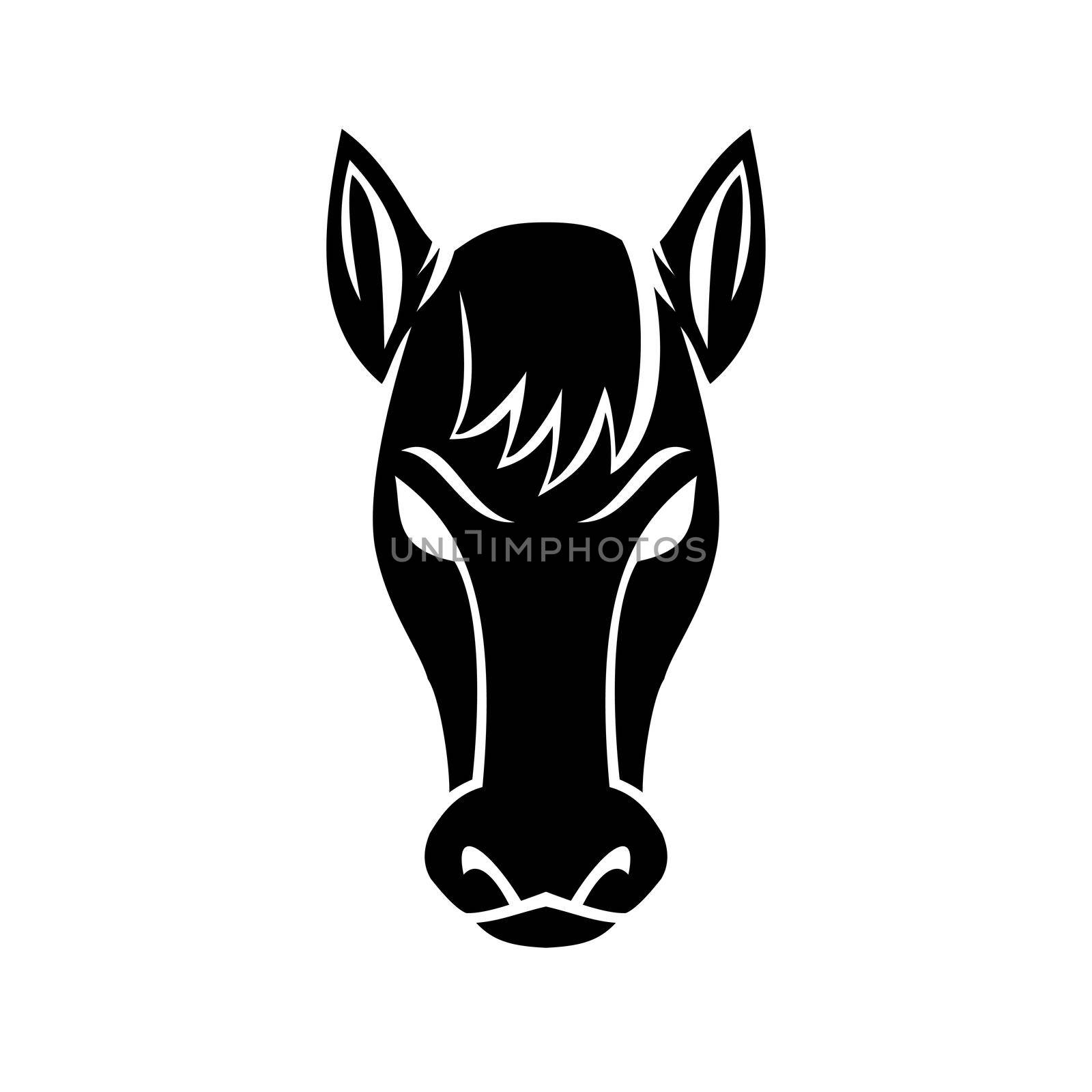 Angry Bronco Mustang Stallion or Horse Front View Mascot Black and White  by patrimonio