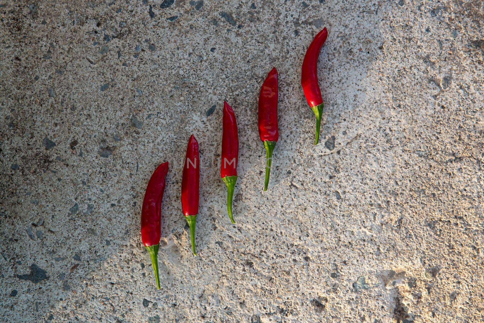 Many small hot red chili peppers close-up, lying on a stone background between shadow and sunlight. Rustic background. Top view, flat lay.