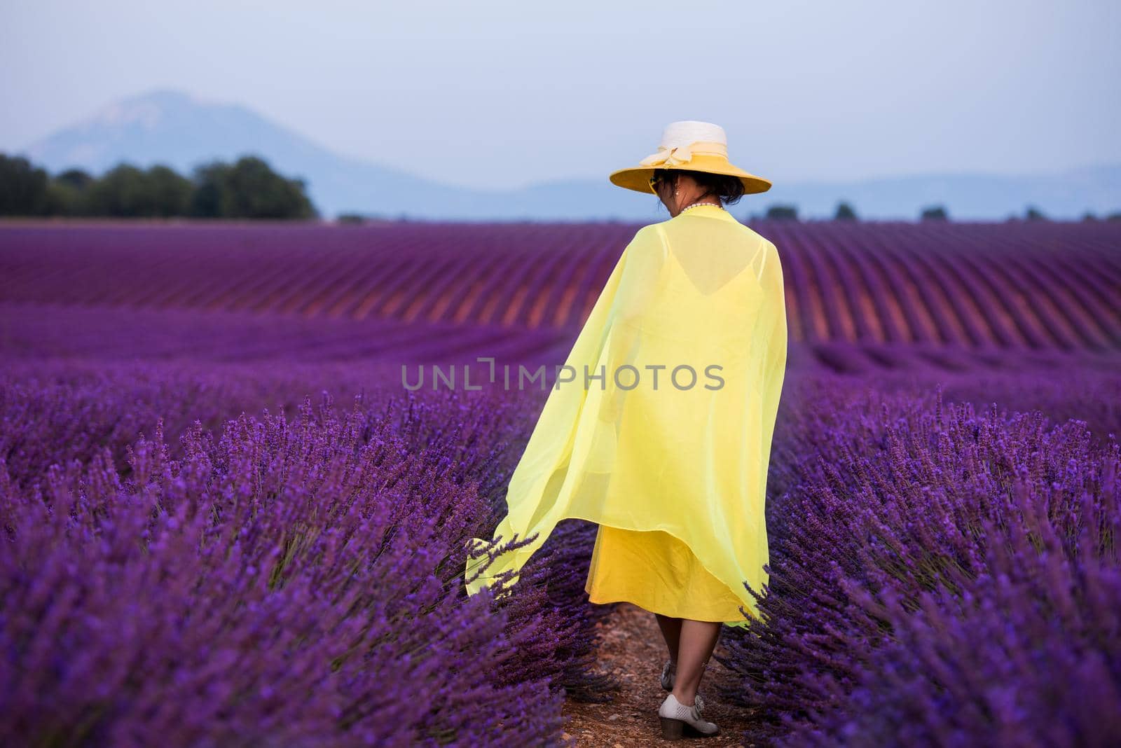 asian woman in yellow dress and hat at lavender field by dotshock