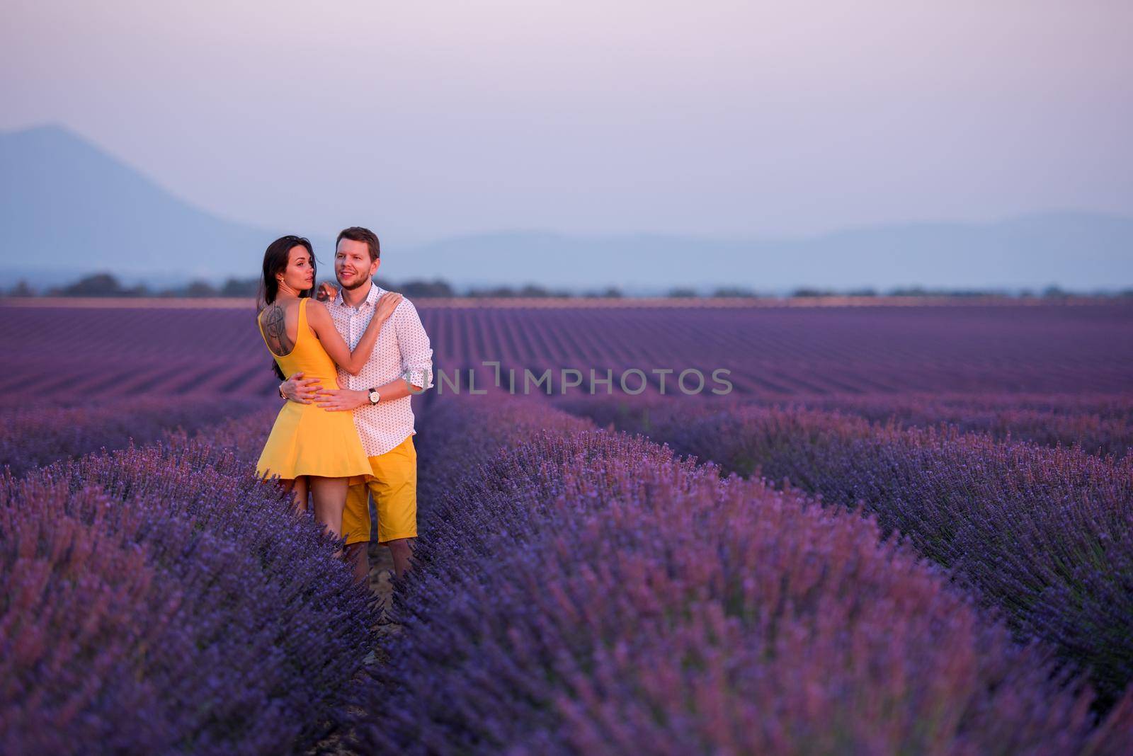 young loving couple having romantic time hugging and kissing on purple lavender flower field in sunset