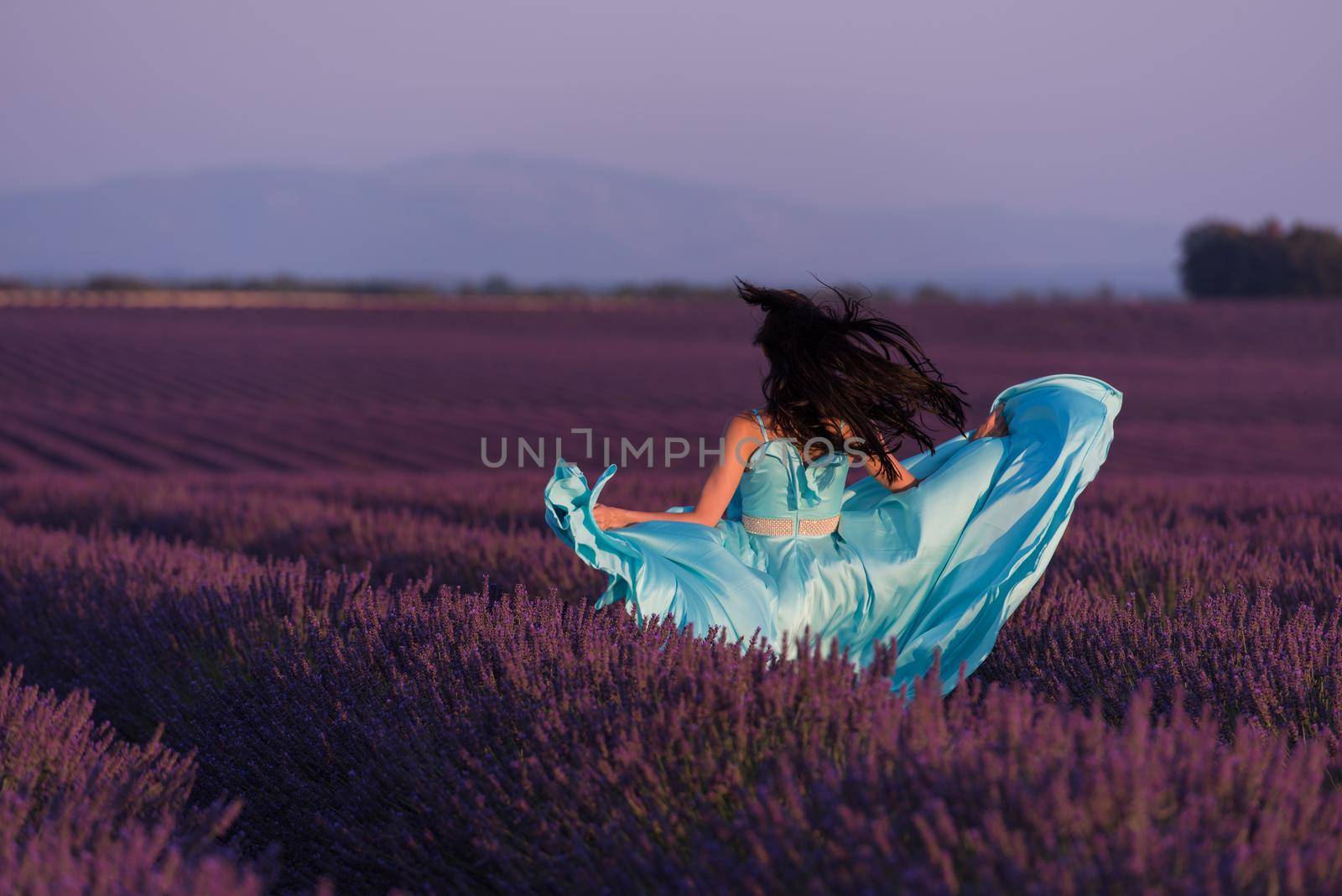 woman in lavender flower field by dotshock