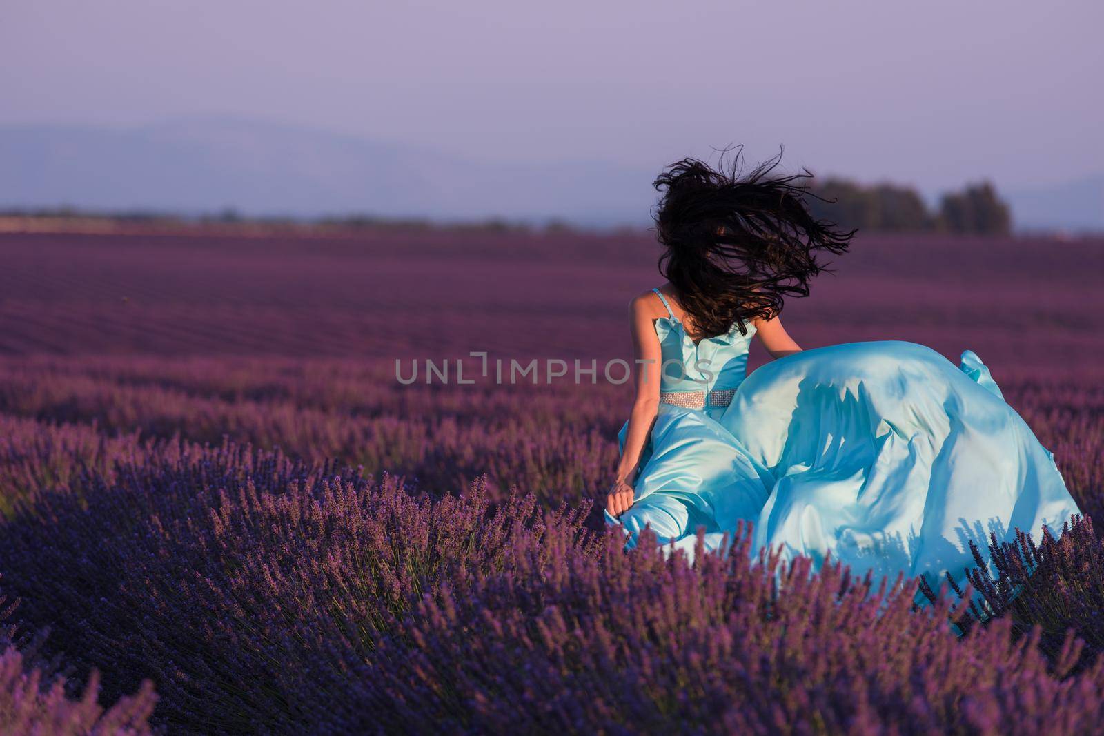 lavander flower field woman in cyand dress having fun and relax on wind in  purple flower field