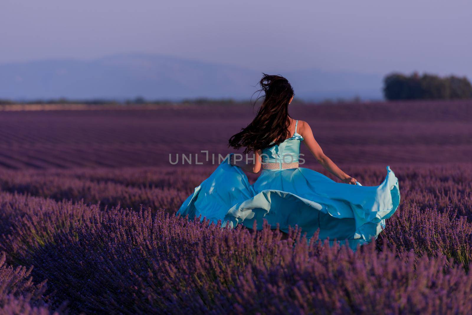 woman in lavender flower field by dotshock