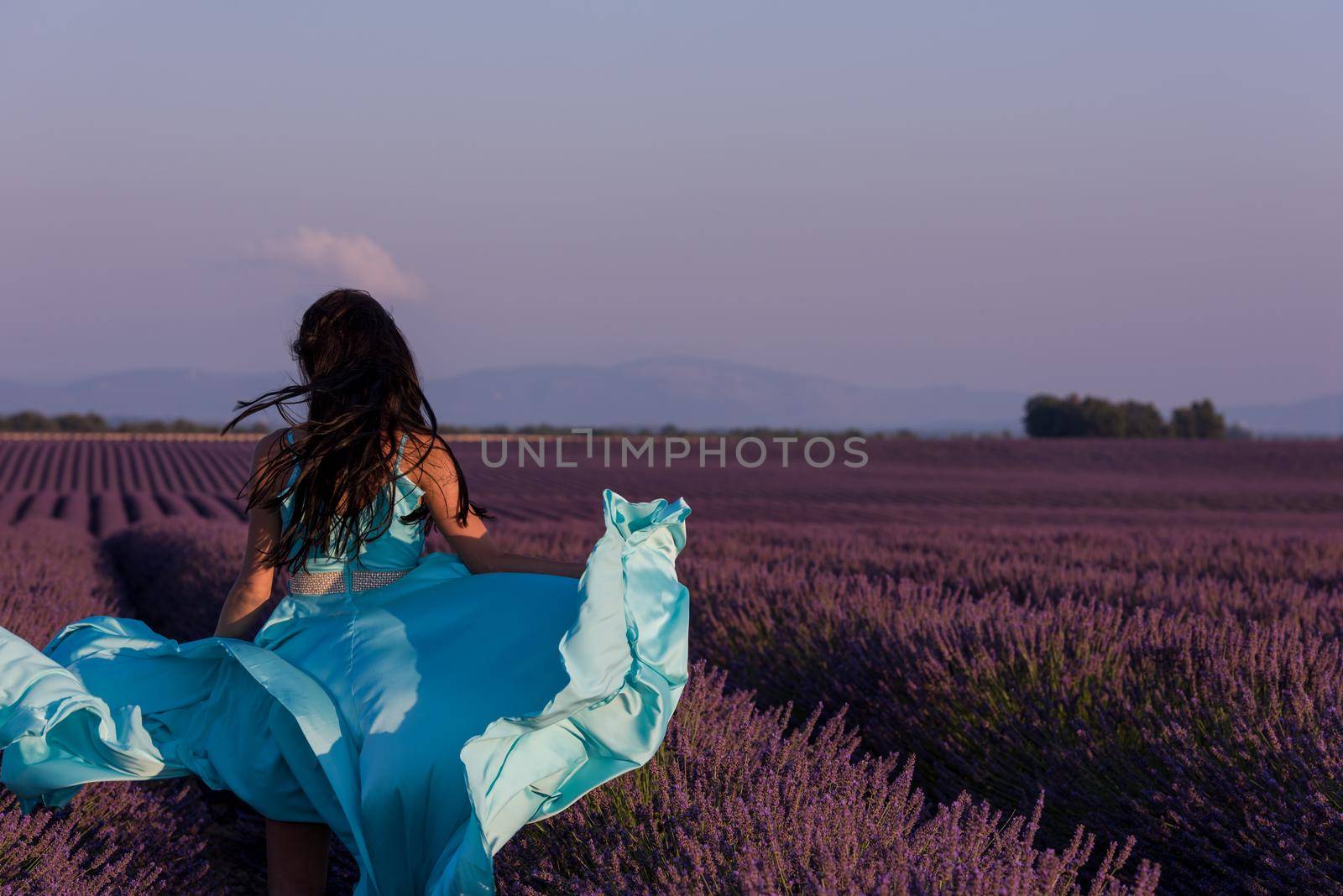 woman in lavender flower field by dotshock
