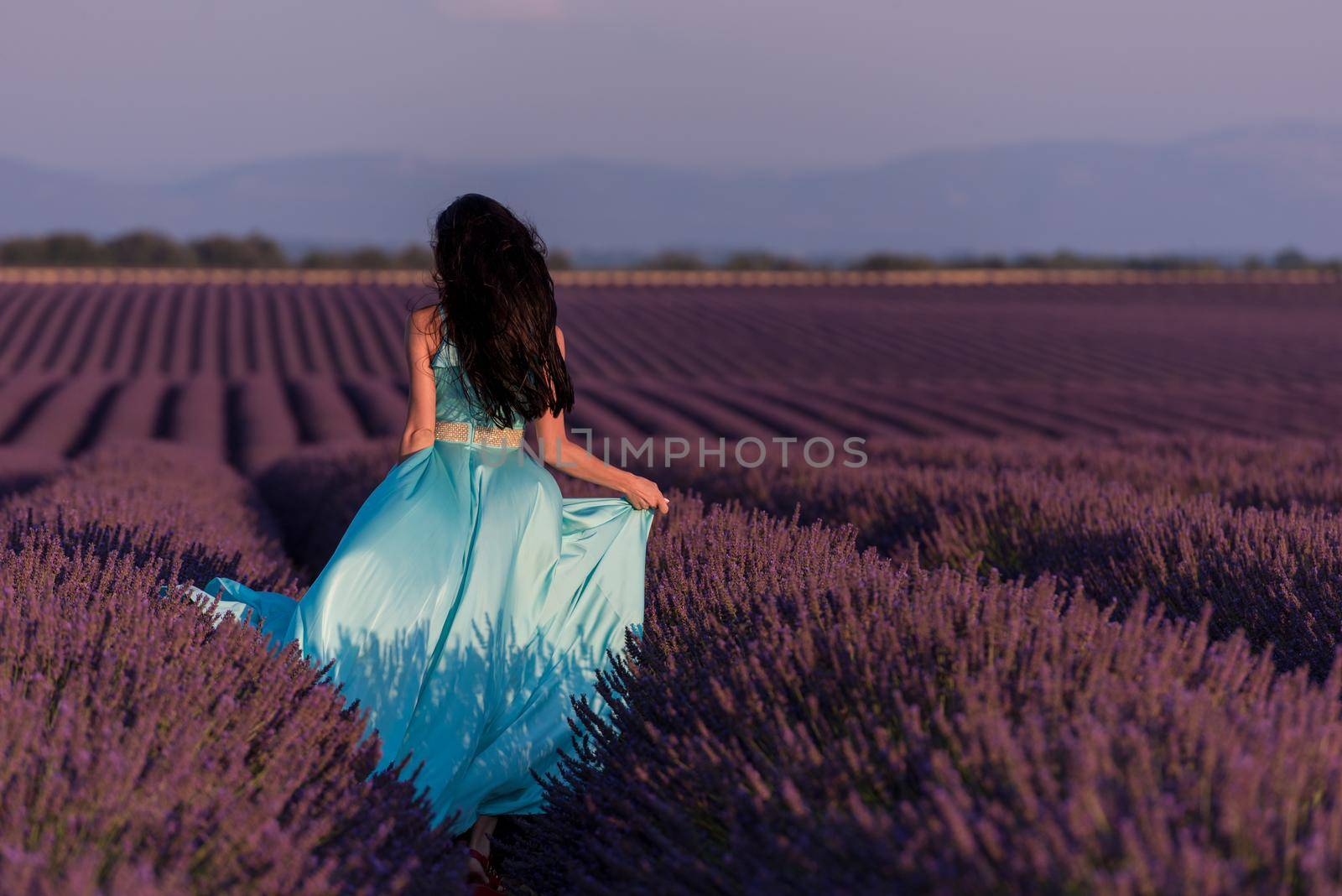 woman in lavender flower field by dotshock