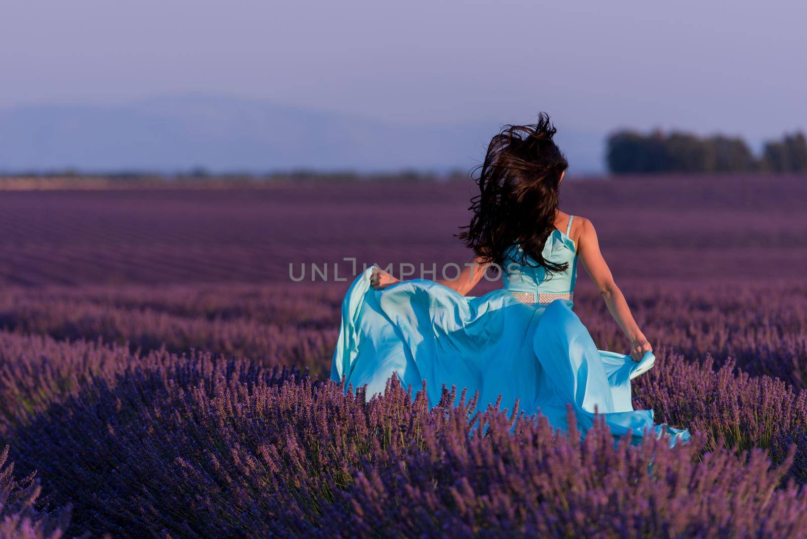 woman in lavender flower field by dotshock