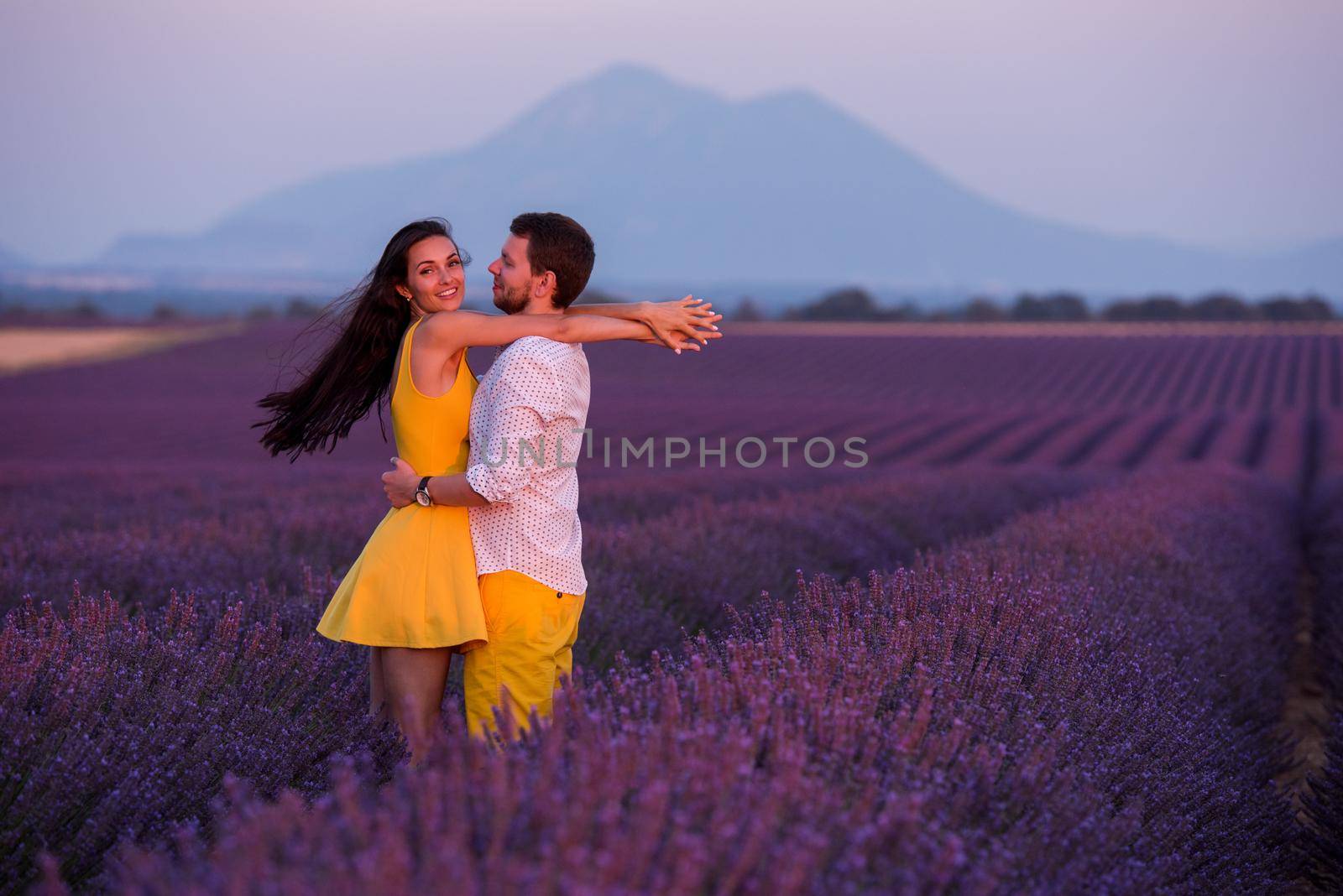 young loving couple having romantic time hugging and kissing on purple lavender flower field in sunset