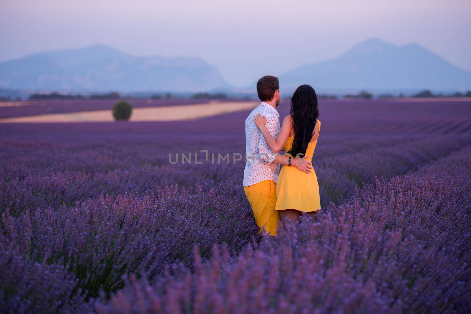 young loving couple having romantic time hugging and kissing on purple lavender flower field in sunset