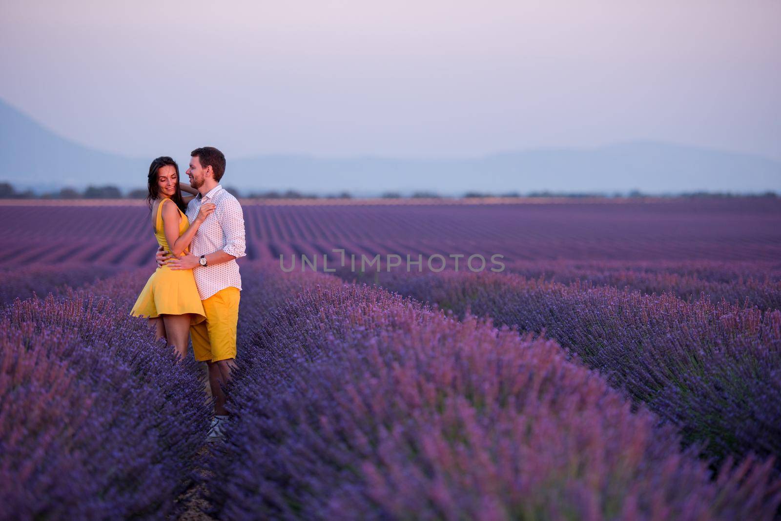 young loving couple having romantic time hugging and kissing on purple lavender flower field in sunset