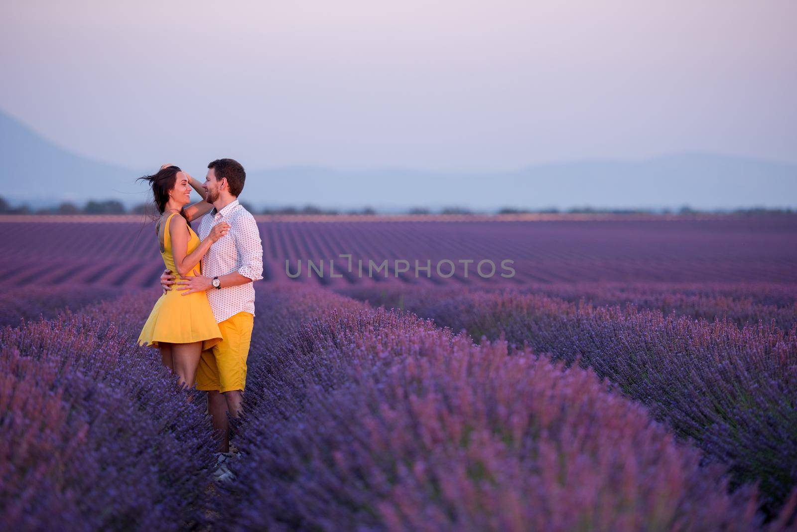 young loving couple having romantic time hugging and kissing on purple lavender flower field in sunset