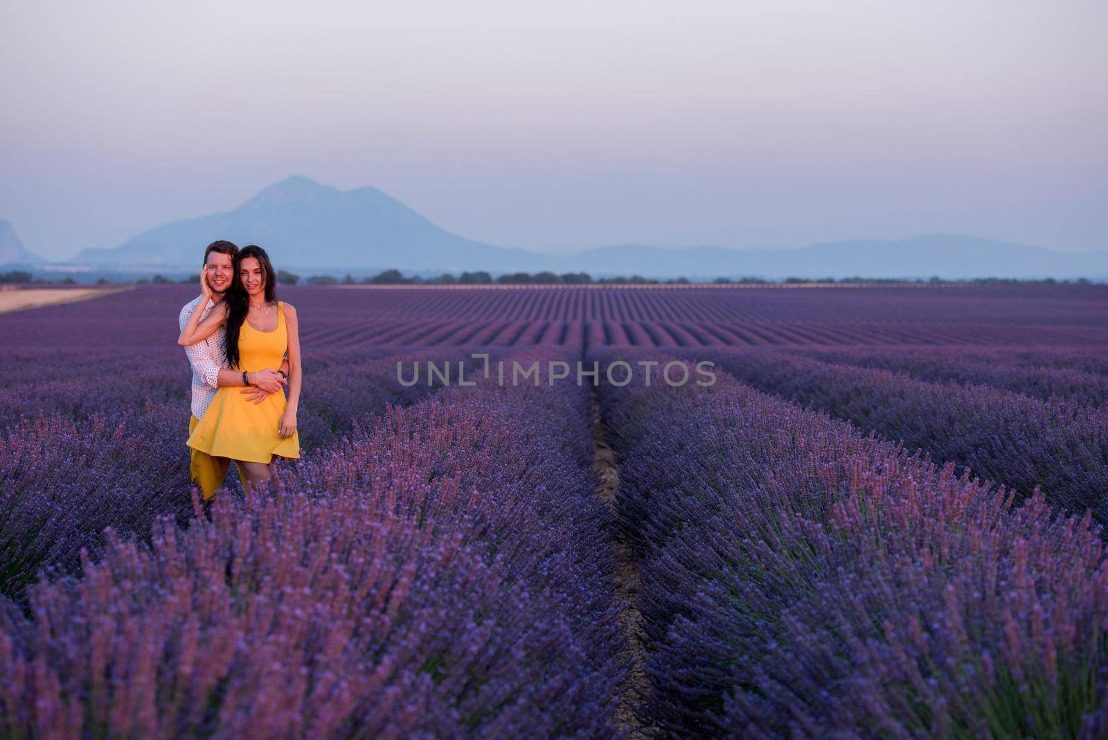 young loving couple having romantic time hugging and kissing on purple lavender flower field in sunset