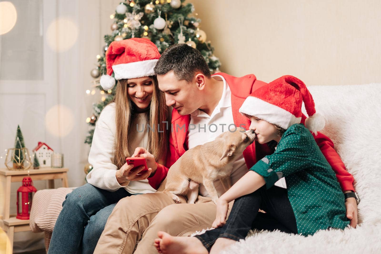 Happy family with kid son having video chat at phone. Mother in Santa hat, father, child boy and dog in sweater having fun on Christmas holidays at home. Merry Christmas and happy new year party by Ostanina