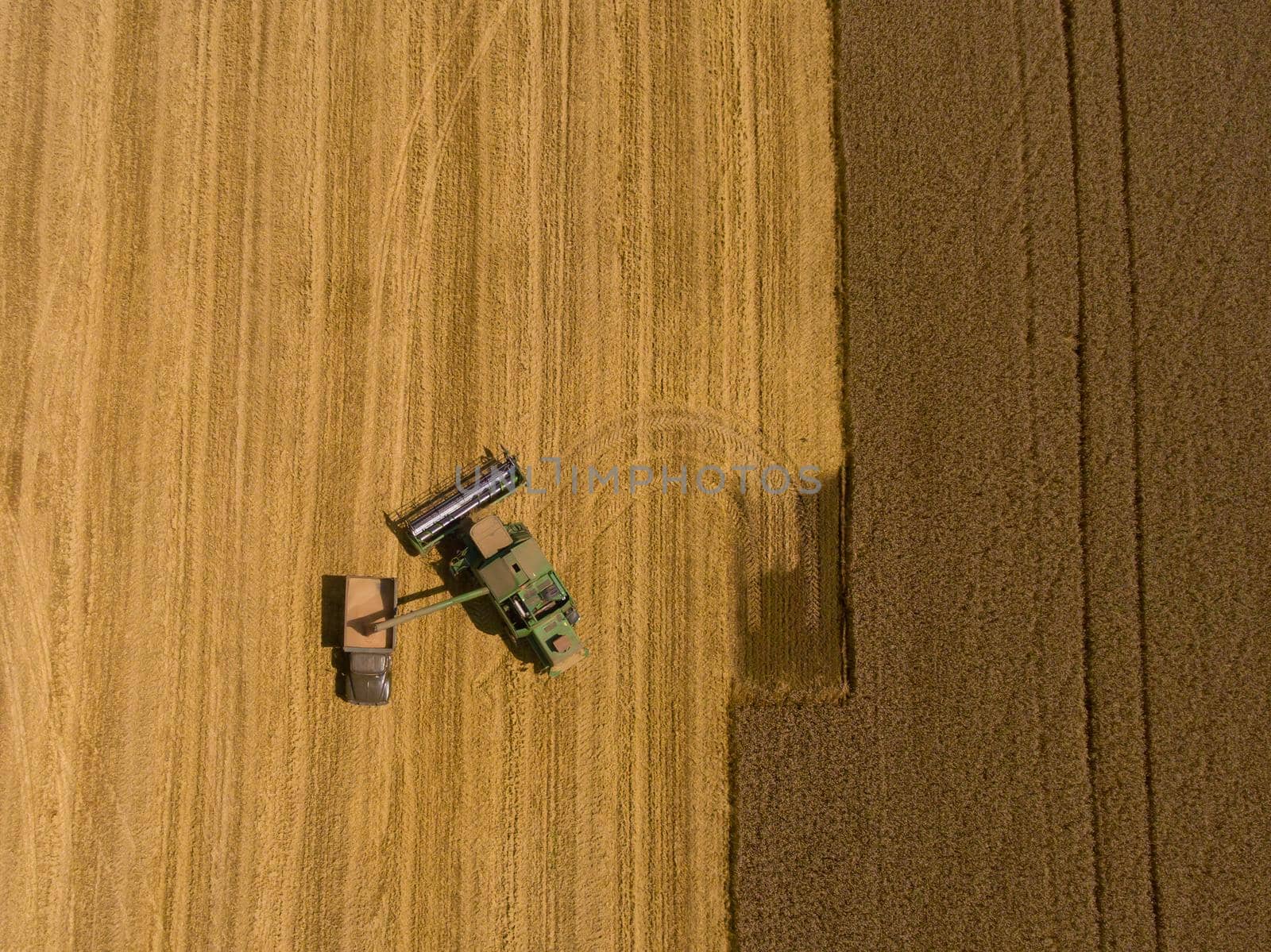 Harvester machine working in field. Aerial view.