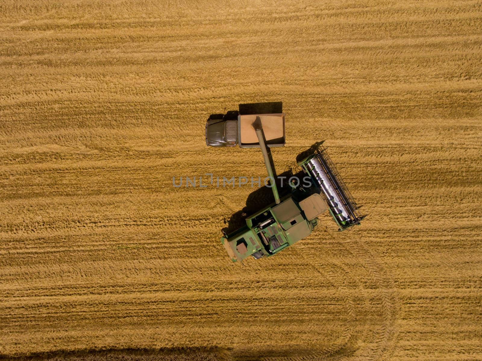 Harvester machine working in field. Aerial view.