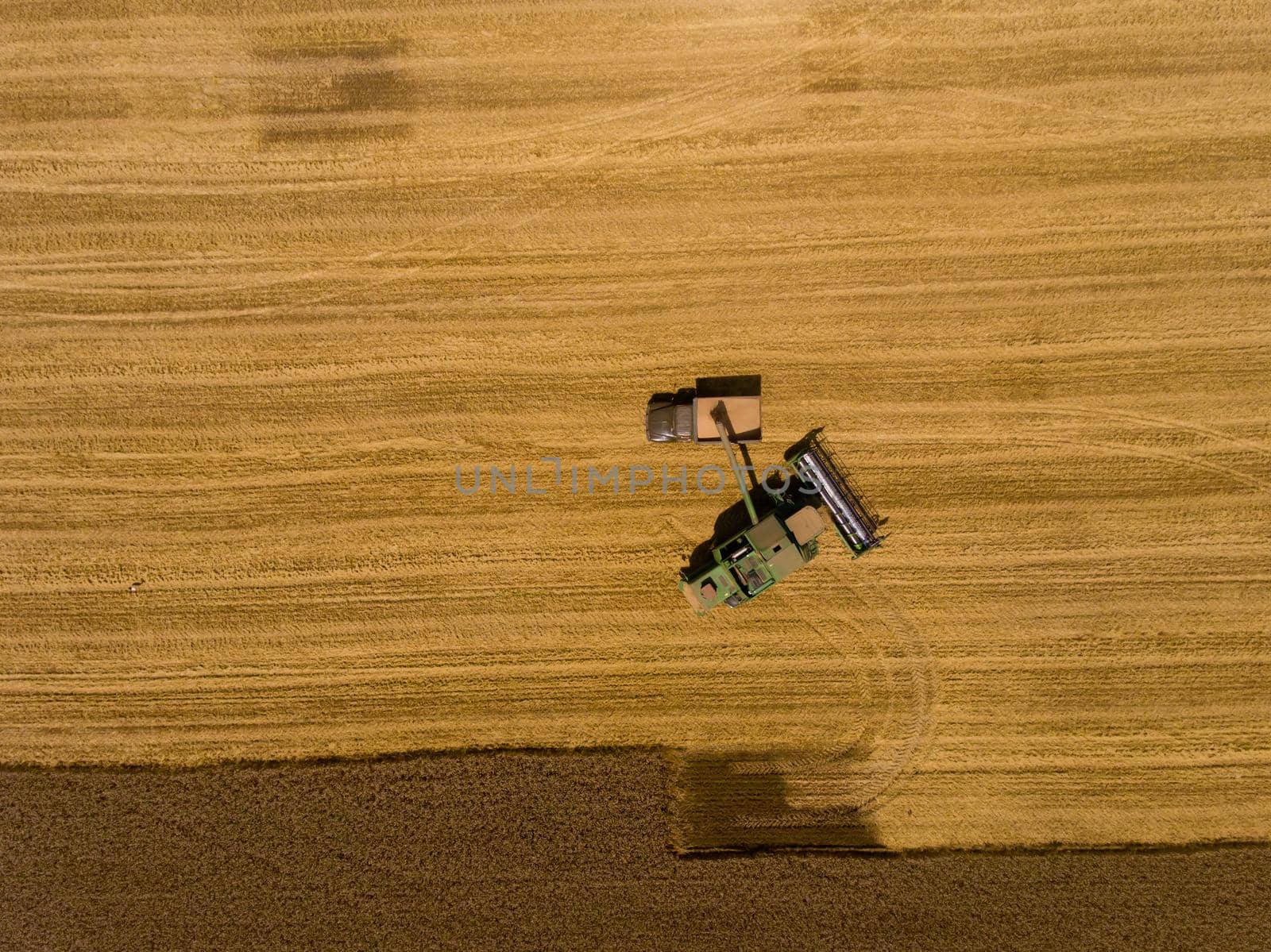 Harvester machine working in field. Aerial view. Top view. by leonik