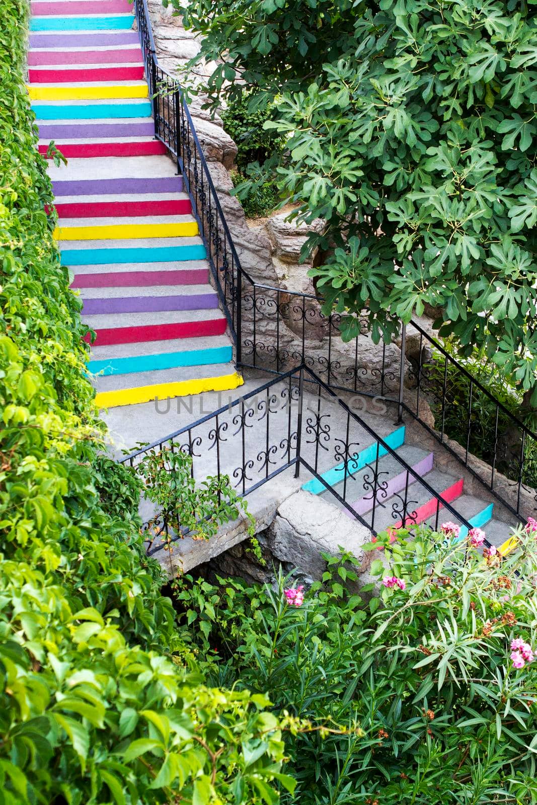 The beautiful stairs are painted in the rainbow, among plants.  by Laguna781