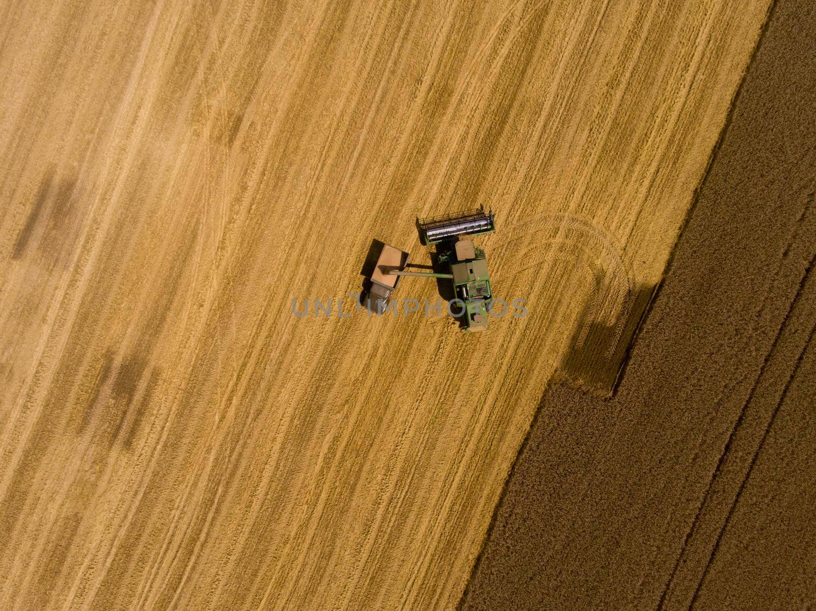 Harvester machine working in harvests wheat field. Aerial view.
