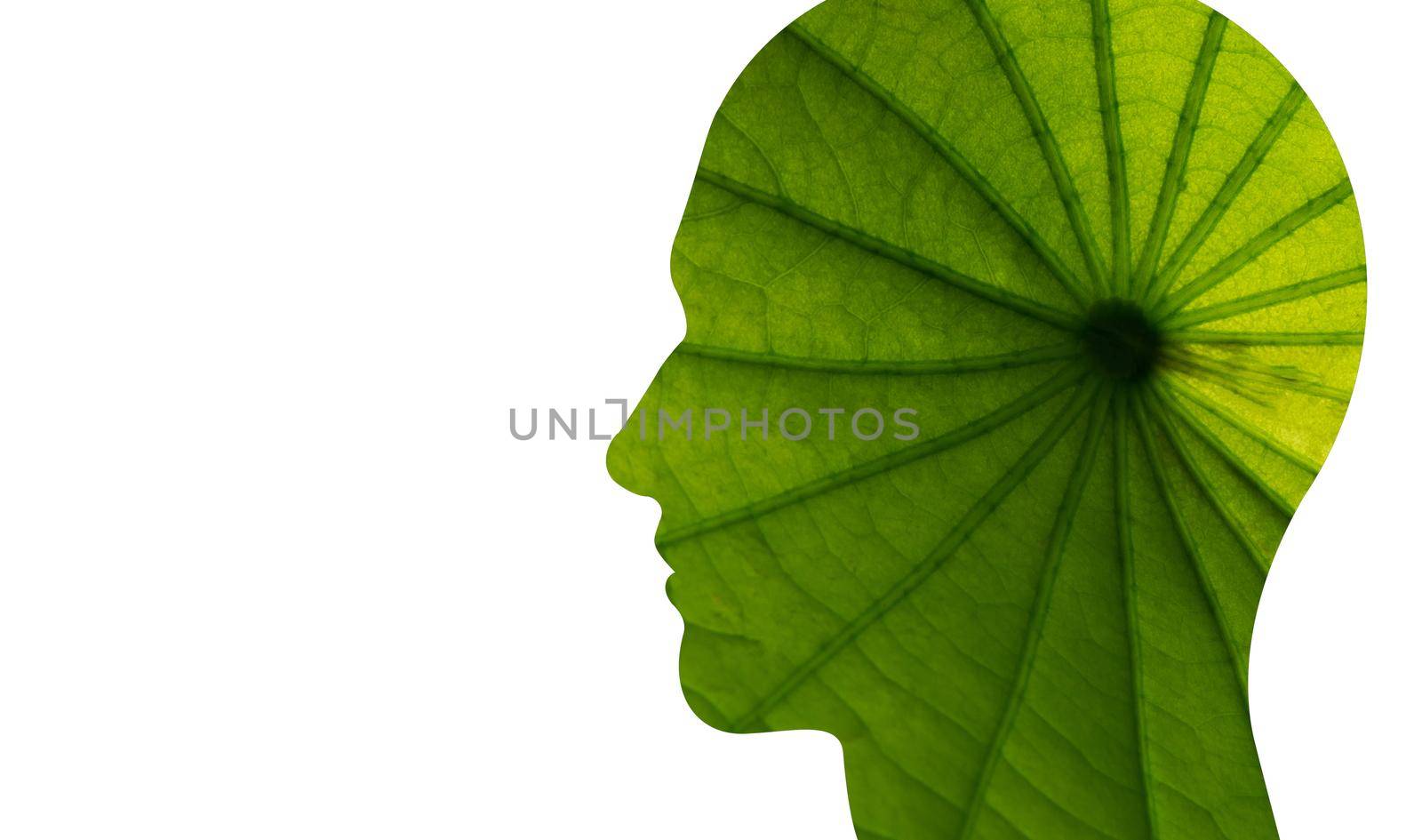 Face with leaf texture silhouette isolated on white background. illustration. by thanumporn